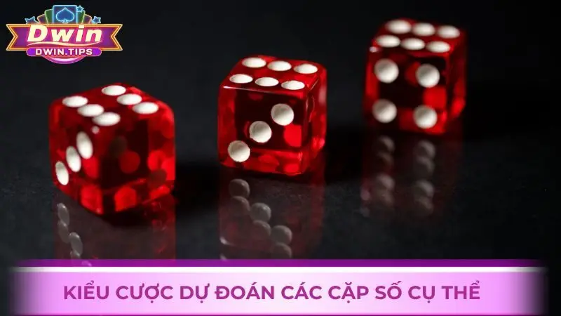 Kiểu cược dự đoán các cặp số cụ thể