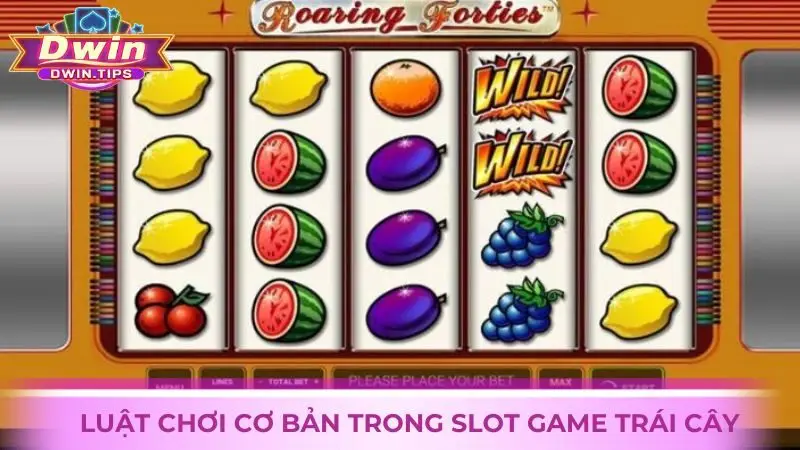 Luật chơi trong Slot game Trái Cây tại Dwin