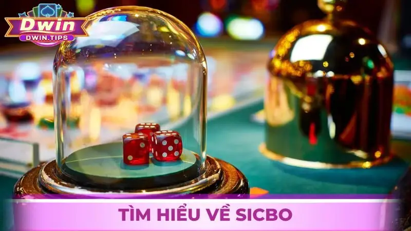 Sicbo